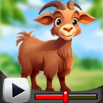 G4K Docile Goat Rescue Game Walkthrough